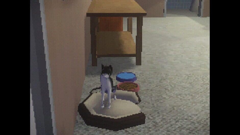 Thanks for the Soup screenshot