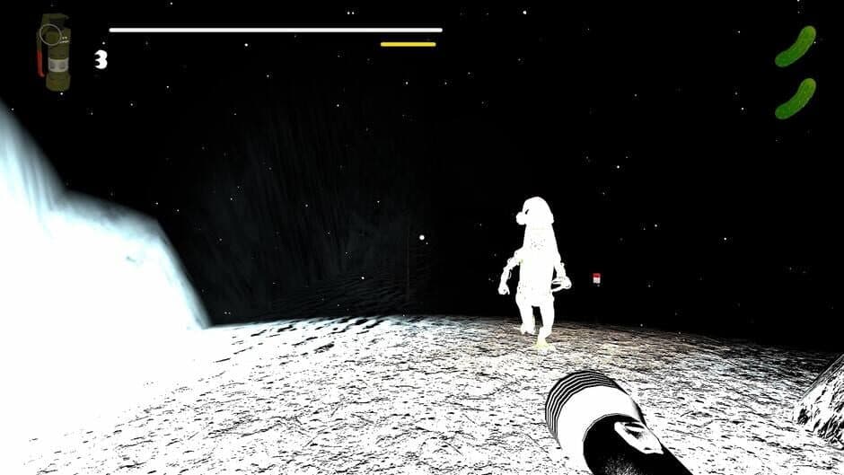 The Christmas Pickle screenshot