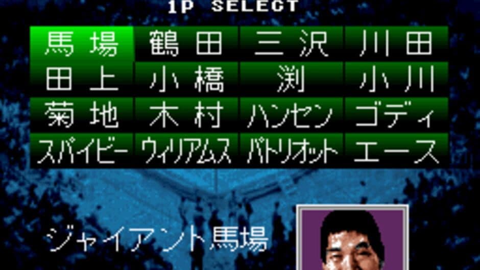 Zen-Nippon Pro Wrestling screenshot