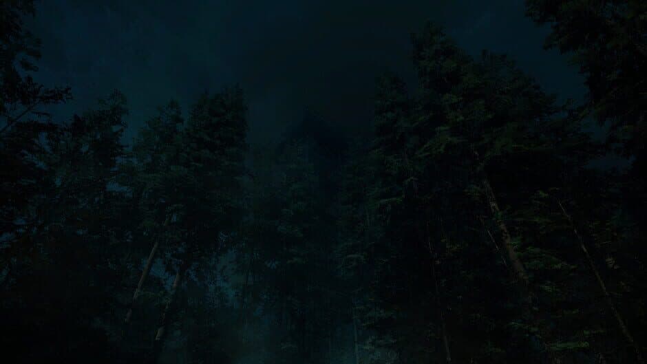 Forest Lookout screenshot