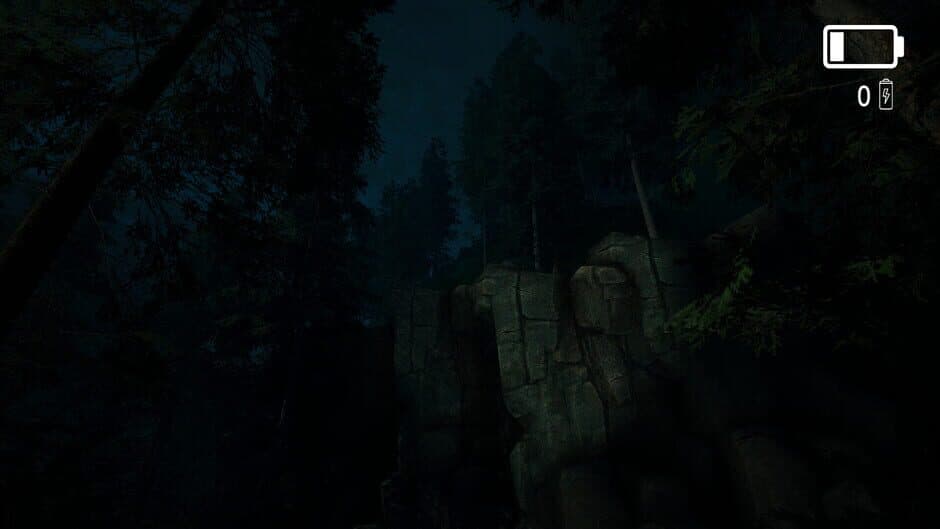 Forest Lookout screenshot