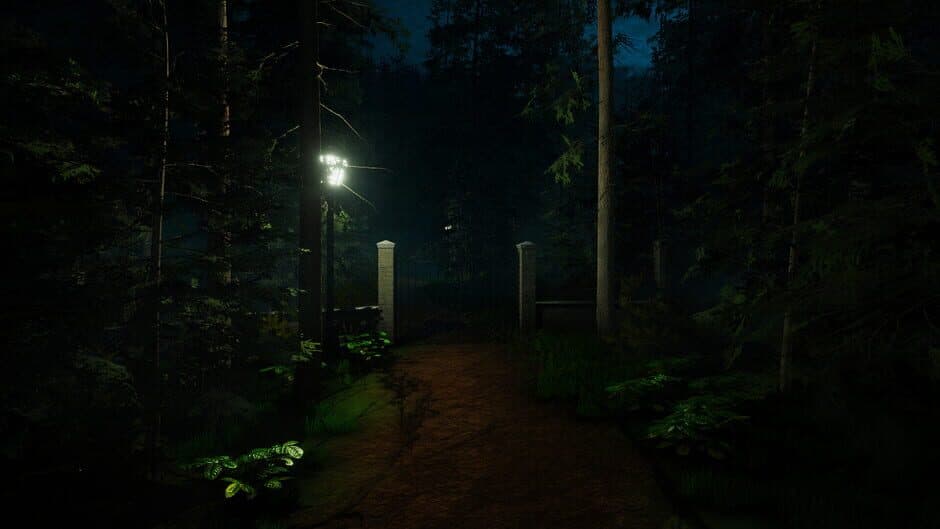 Forest Lookout screenshot