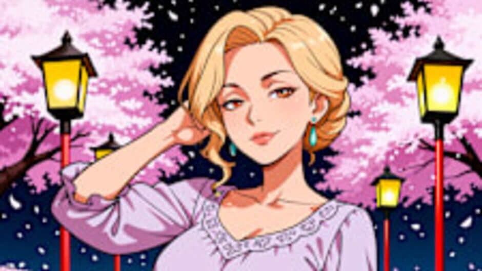 Hidden Girls: Private Nights screenshot