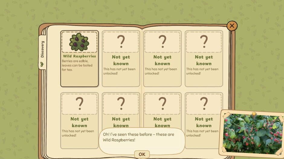 Grandma's Guide to the Grand Outside screenshot