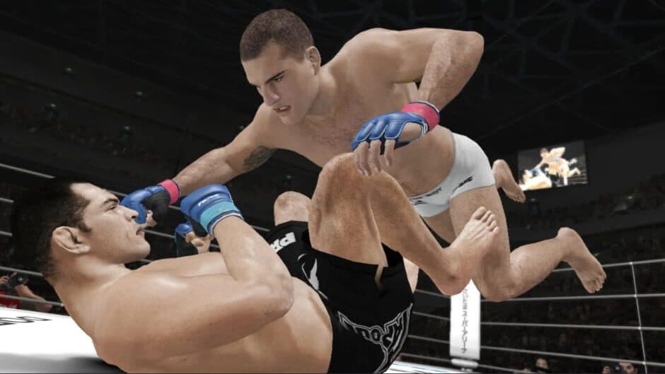 UFC Undisputed 3 screenshot