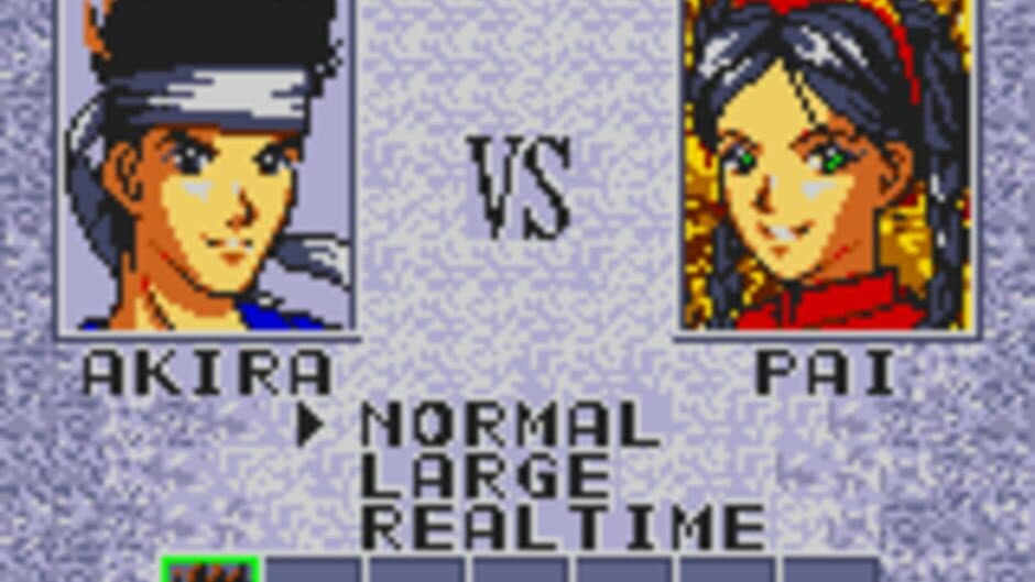 Virtua Fighter Animation screenshot