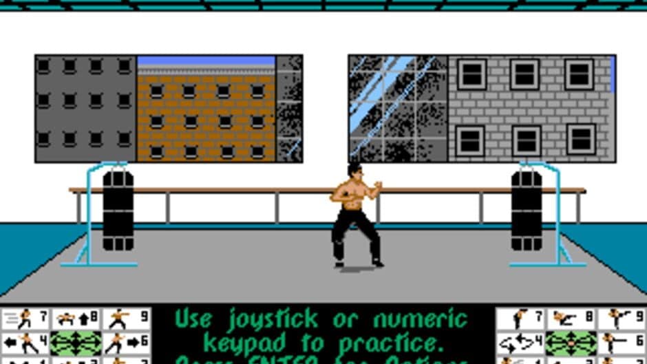 Bruce Lee Lives: The Fall of Hong Kong Palace screenshot