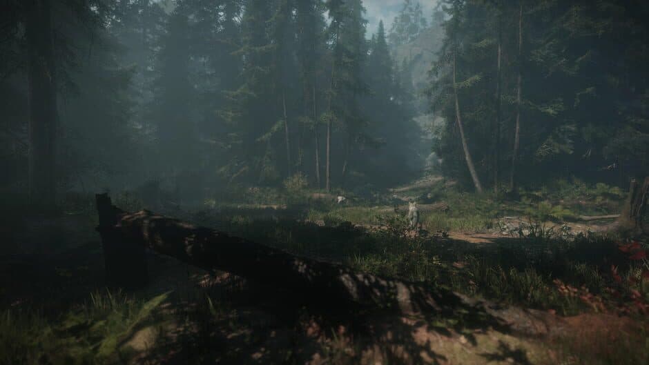 Maid of Sker screenshot