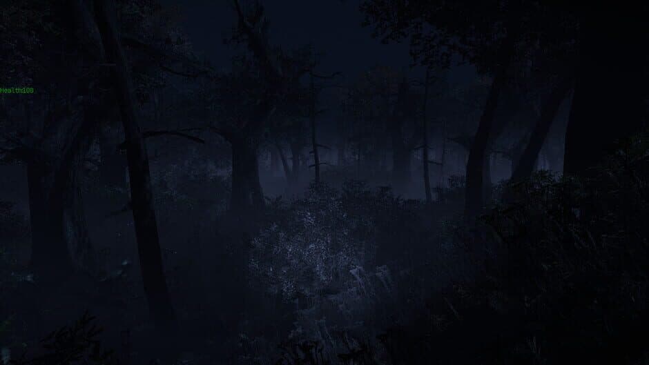 The Occluder screenshot