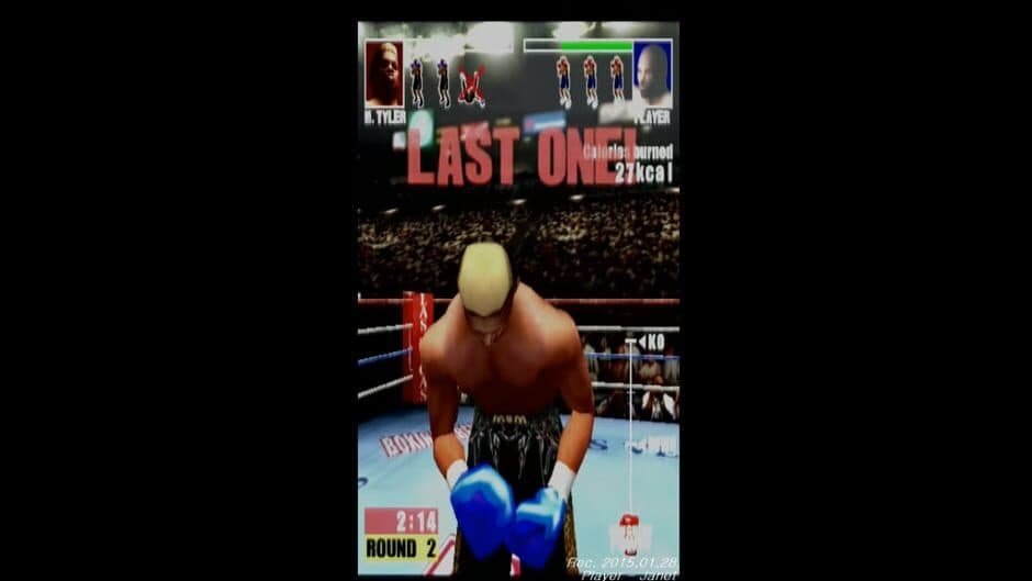 Mocap Boxing screenshot