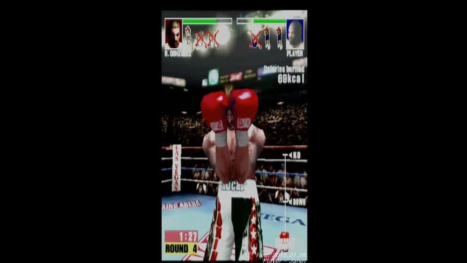 Mocap Boxing screenshot