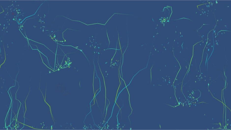Data screenshot