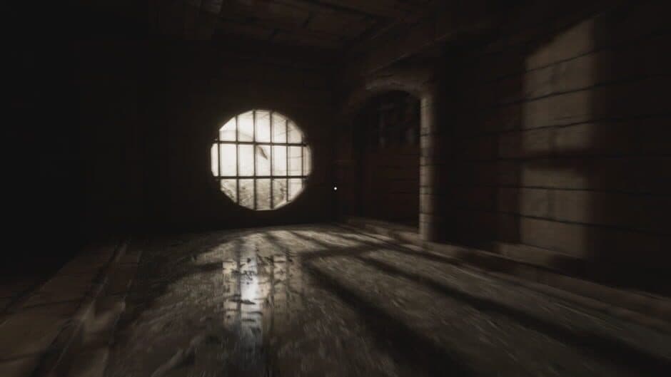 The Mirum screenshot