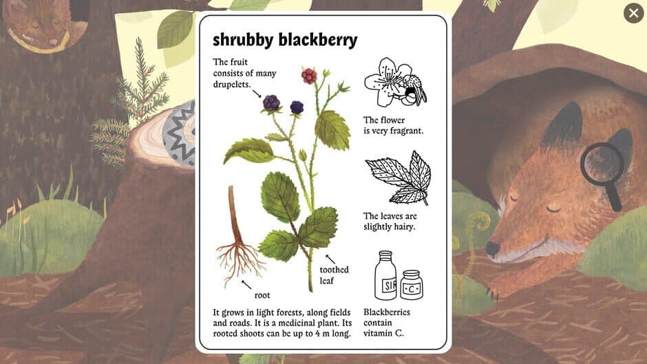 Little Mouse's Encyclopedia screenshot