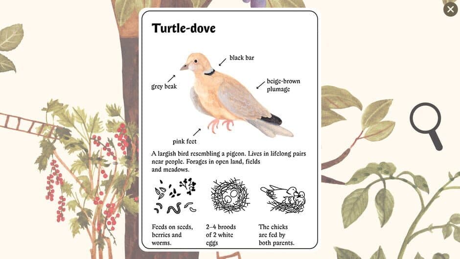 Little Mouse's Encyclopedia screenshot