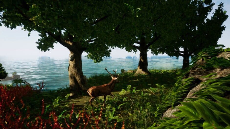 Away: The Survival Series screenshot
