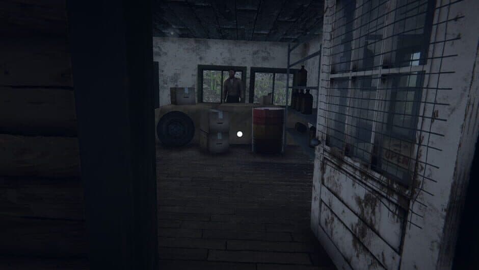 Border Officer screenshot