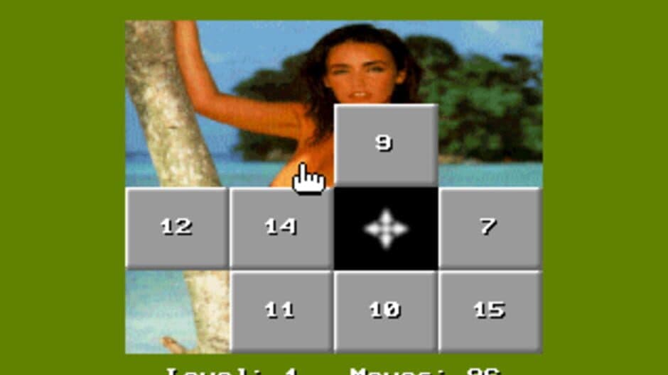 15 Move Hole Puzzle screenshot