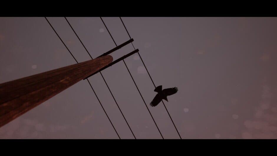Of Bird and Cage screenshot