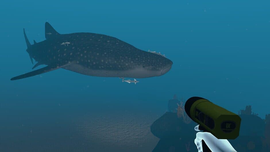 Dive with Sylvia VR screenshot