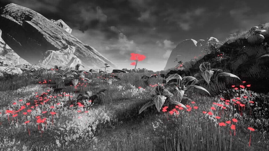 Rest screenshot