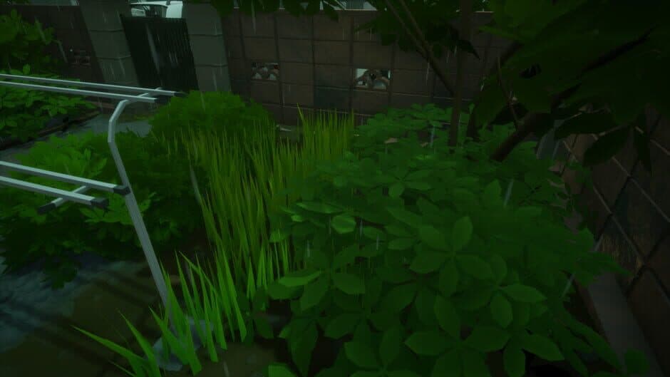 Rainy Season screenshot