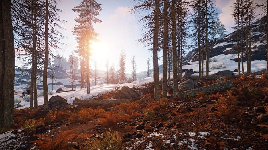 Rust screenshot