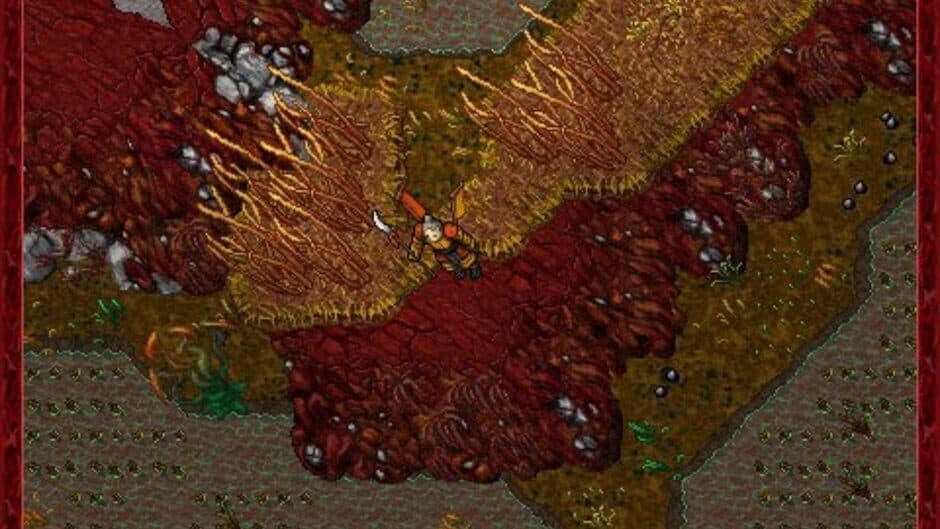 Tibia screenshot