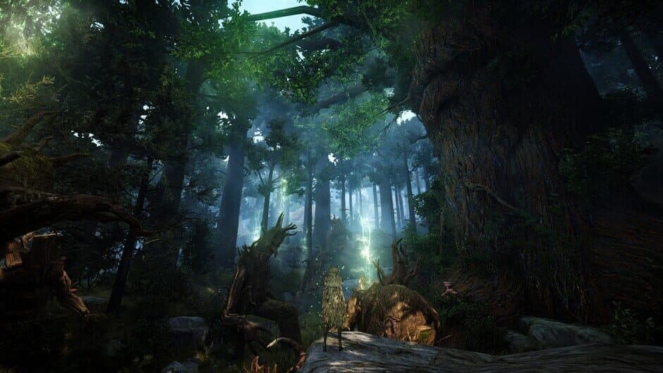 Black Desert screenshot