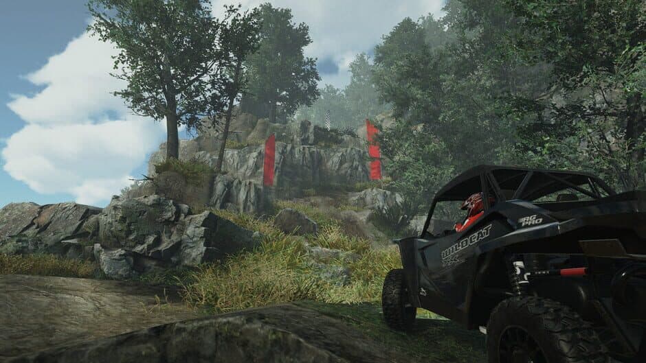 Overpass screenshot
