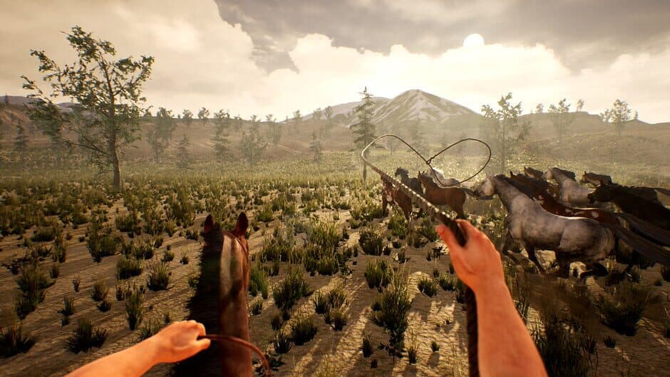 Cowboy Life Simulator screenshot