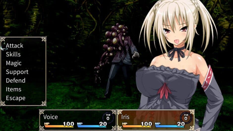 Holy Knight Luviria screenshot