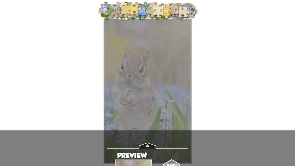 Puzzlection screenshot