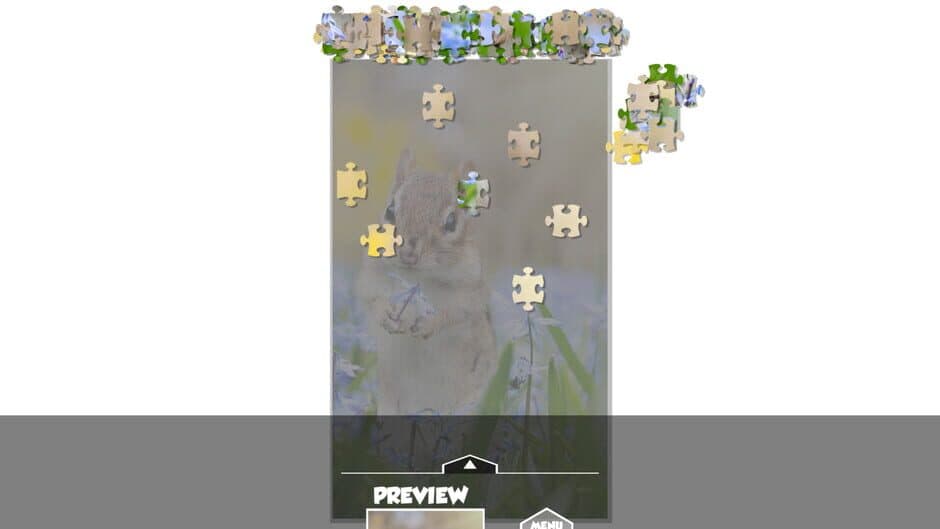 Puzzlection screenshot