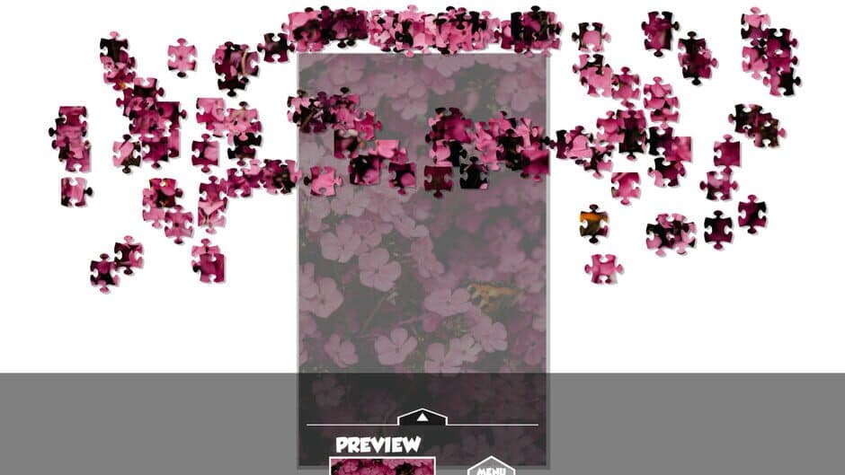 Puzzlection screenshot