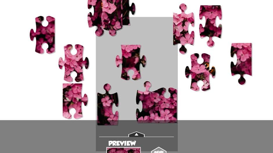 Puzzlection screenshot