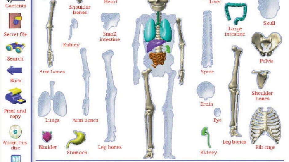 My Amazing Human Body screenshot