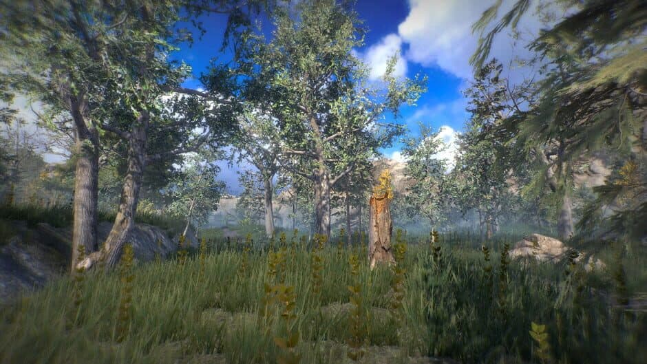Position screenshot