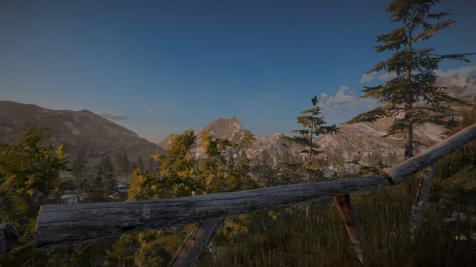 Position screenshot