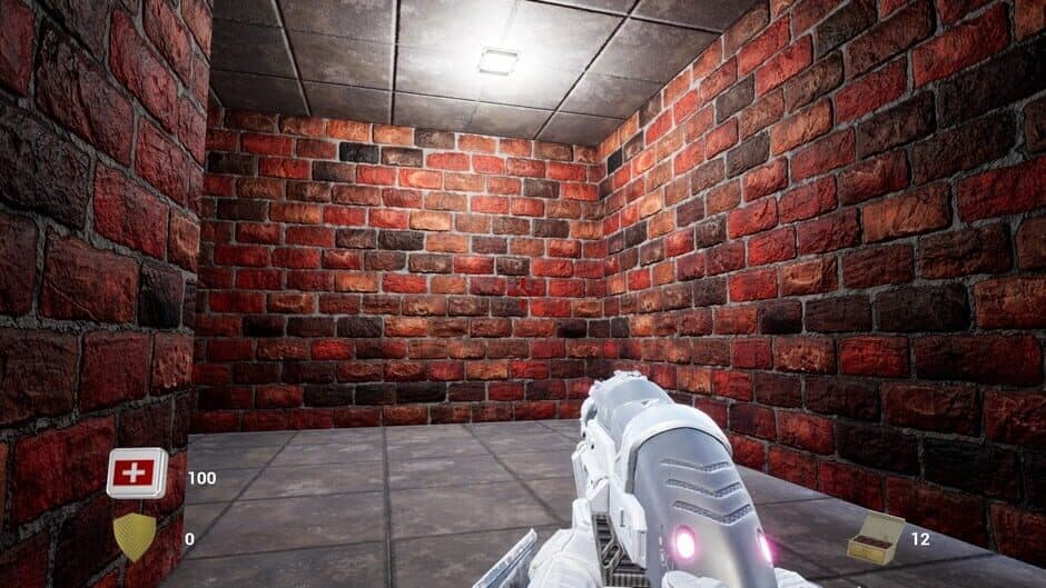 Ganzworker screenshot