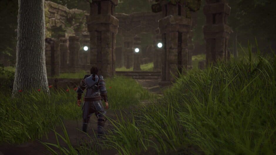 Soulborn screenshot