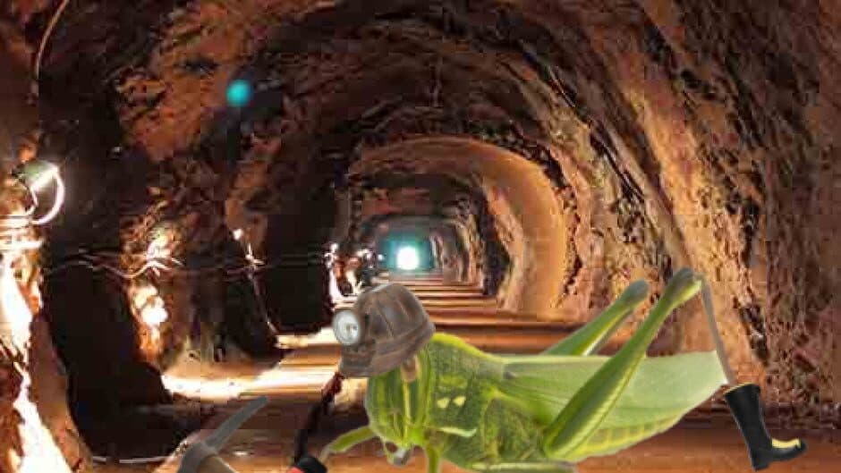 Grasshopper Farm screenshot