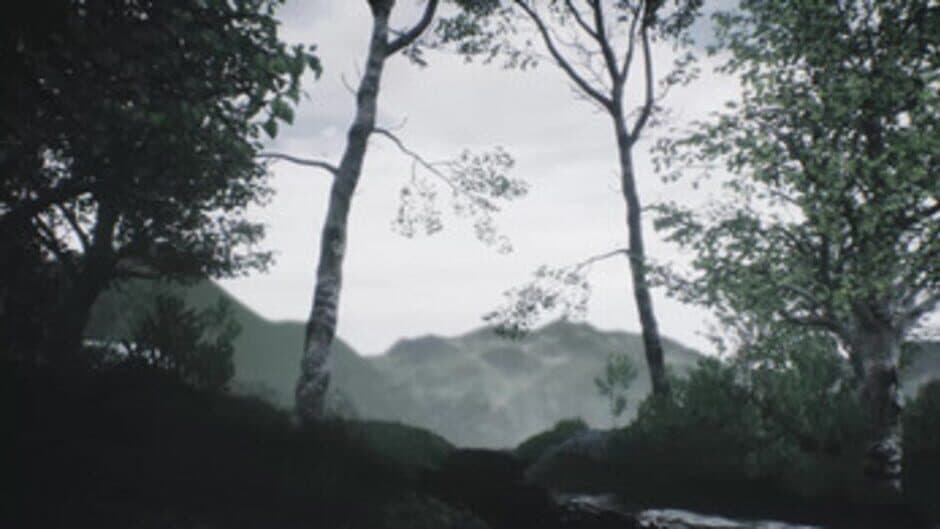 Scenic Forest Valley screenshot