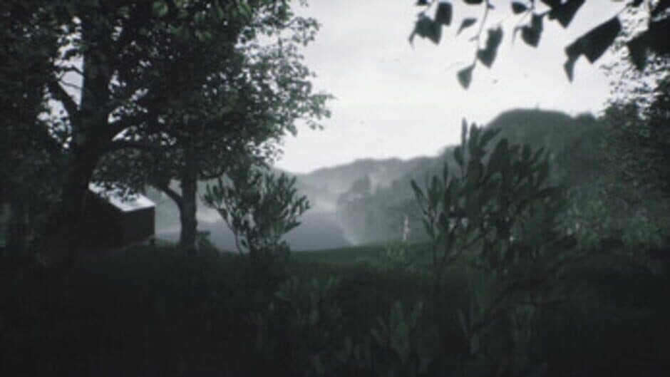 Scenic Forest Valley screenshot