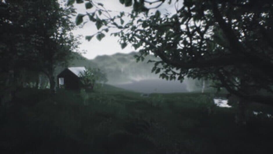 Scenic Forest Valley screenshot