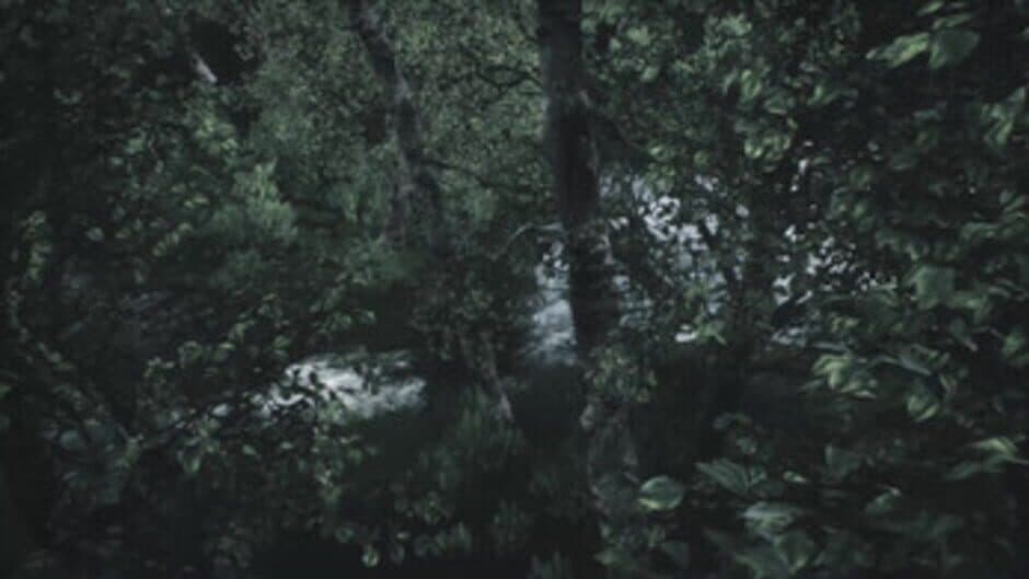 Scenic Forest Valley screenshot