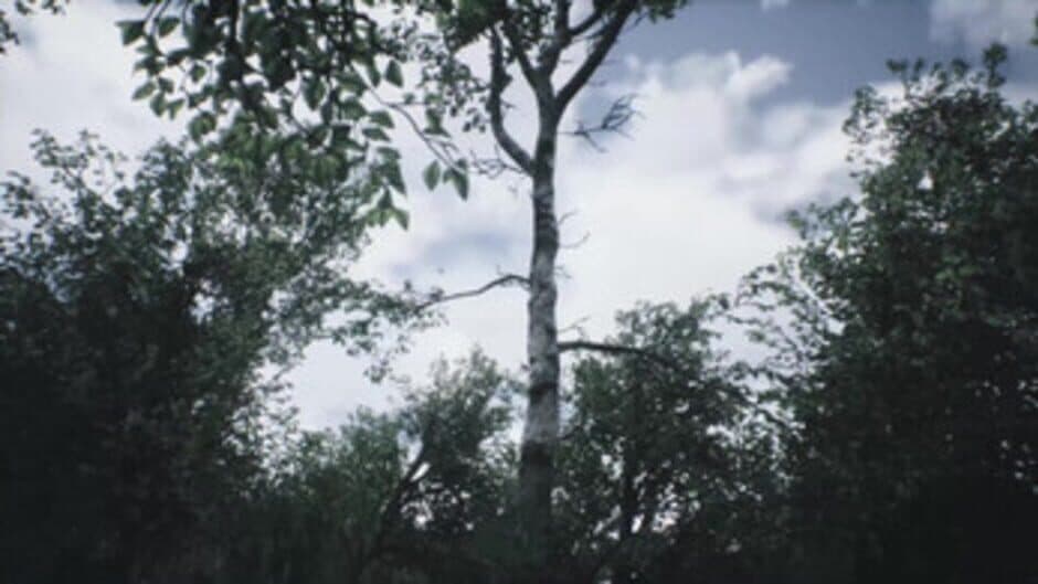 Scenic Forest Valley screenshot