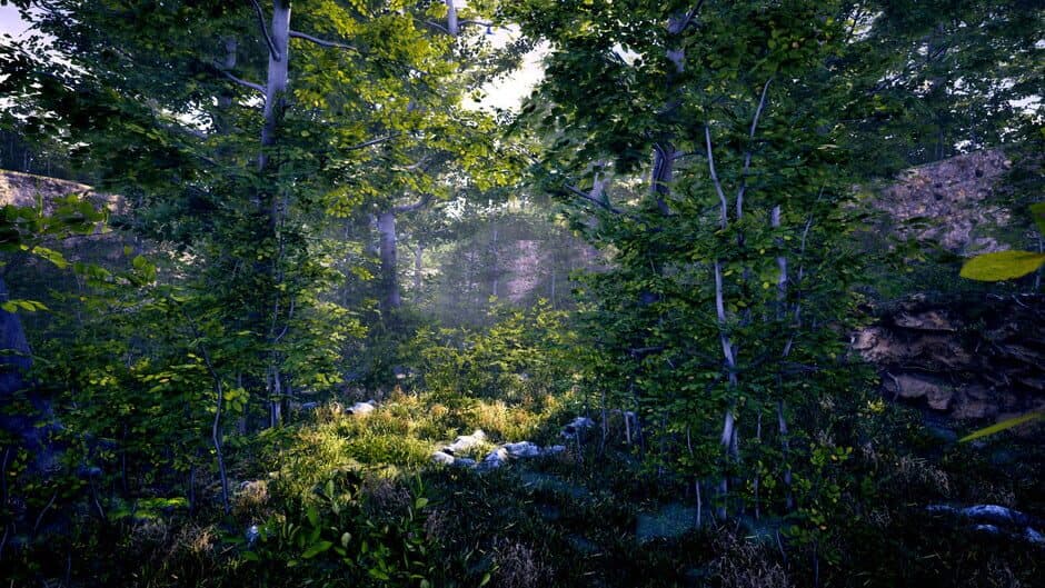 The Fabled Woods screenshot