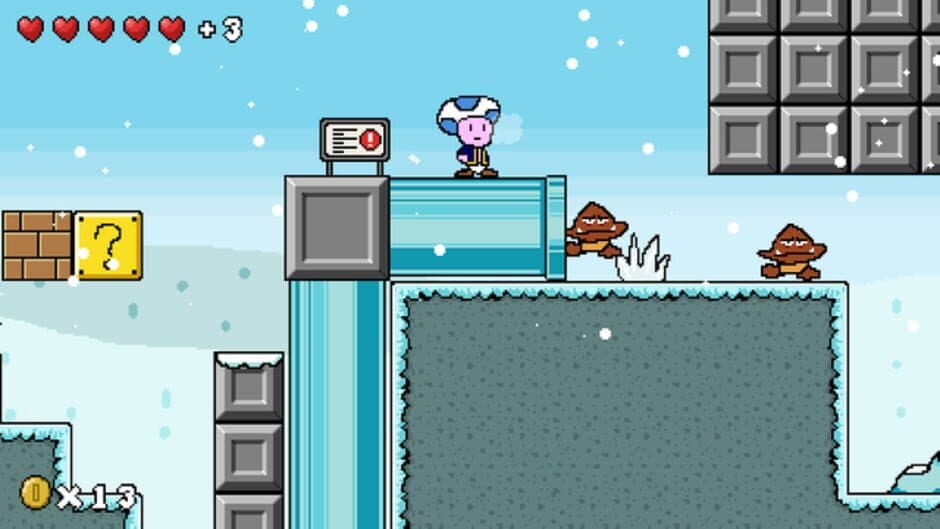Regular Toad Game screenshot