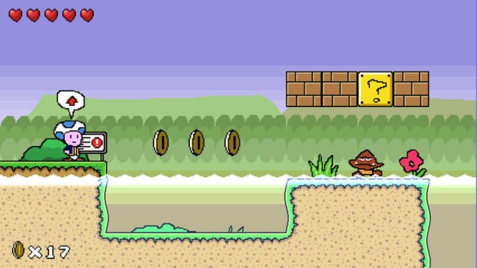 Regular Toad Game screenshot